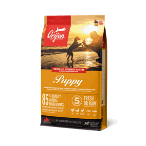 Orijen dog Puppy