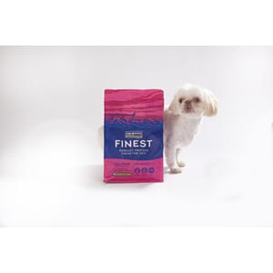 F4D Salmon Toy breed 1,5 kg